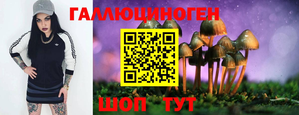 купить закладку  Галлюциногенные грибы Magic Shrooms  Вход с VPN  Новодвинск 
